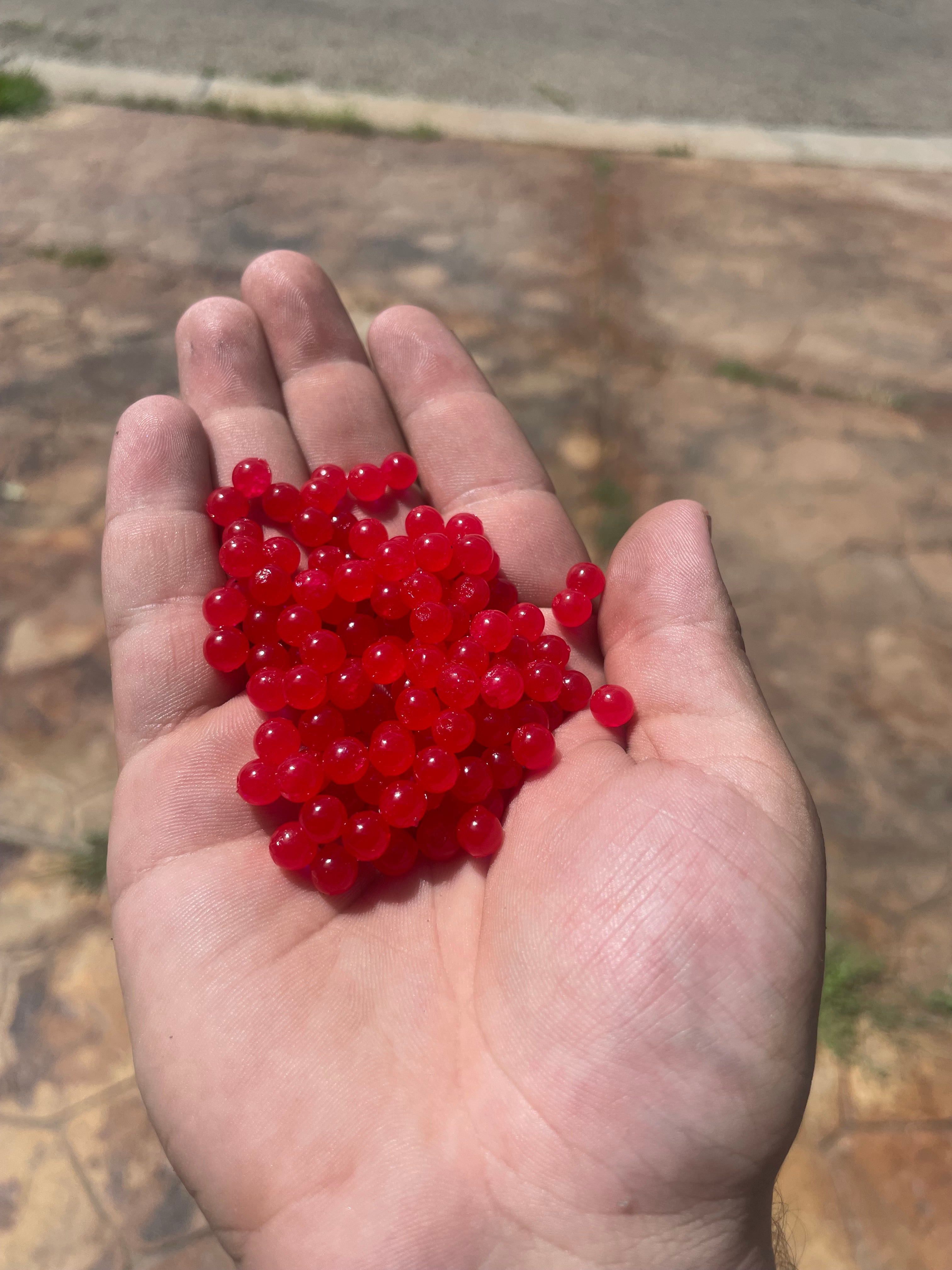 Trout Eggs