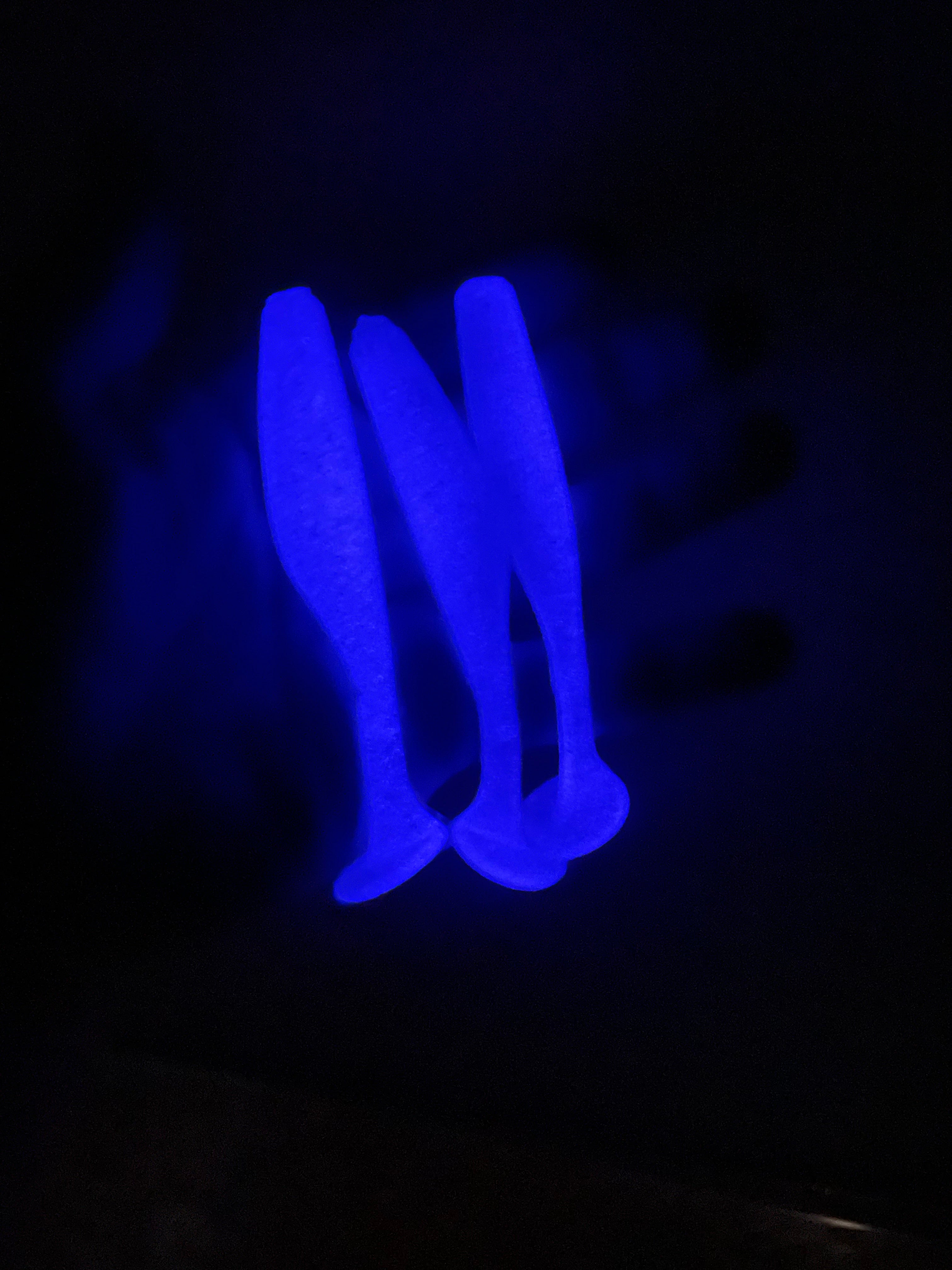 3.8” Lethal Swimmers