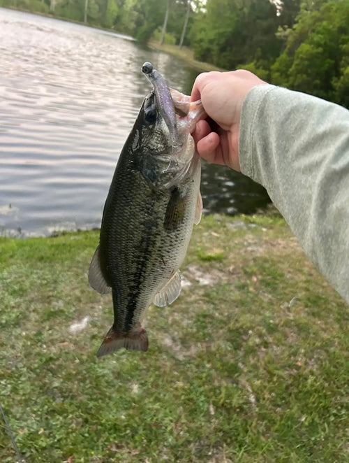 3.8” Violator Paddle Tail