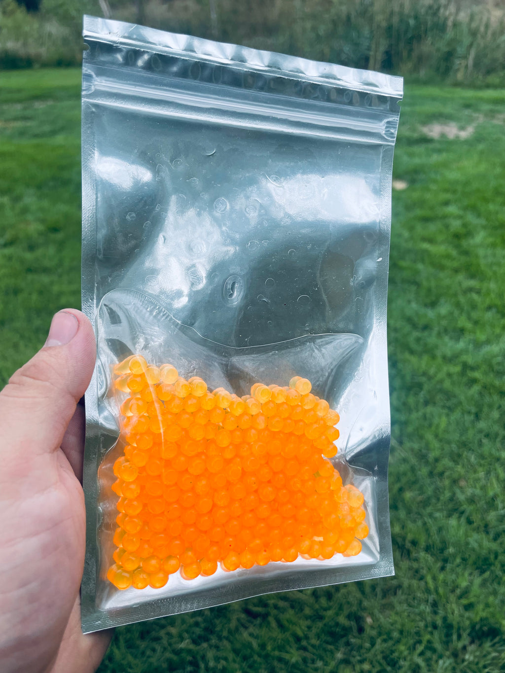 Trout Eggs