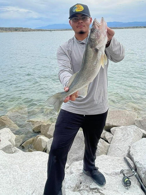 3.8" Texas Tea Paddle Tail